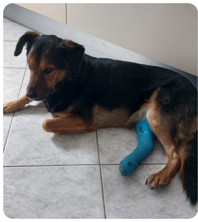 Návrh bez názvu - 2025-10-03T084736.837